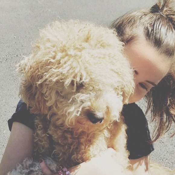 Meet your Posher, Madison - Picture 1 of 1